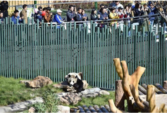 沈陽森林動(dòng)物園