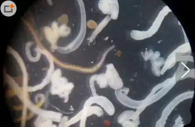 凈水器租賃