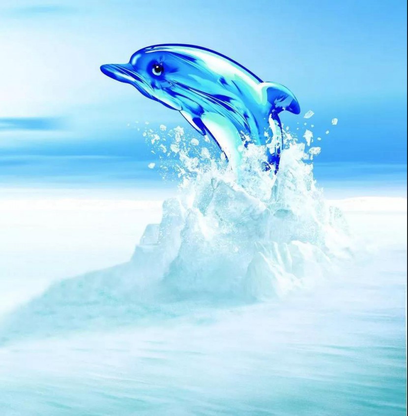 浩澤凈水器