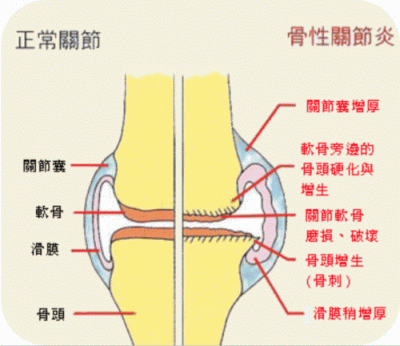 凈水器租賃